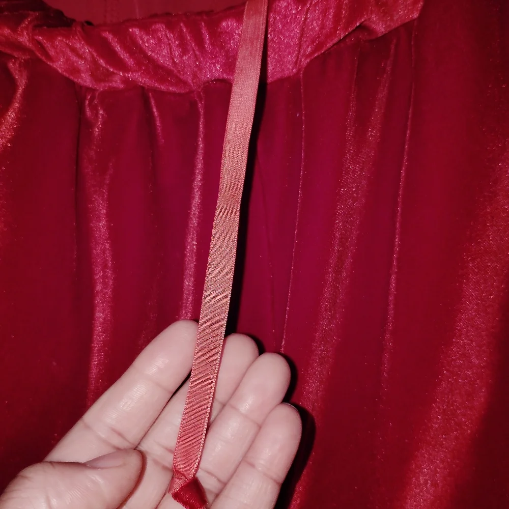 Delta Sigma Theta Women's Velvet Track Suit with White Side Stripe - Dark Red L - Picture 9 of 9